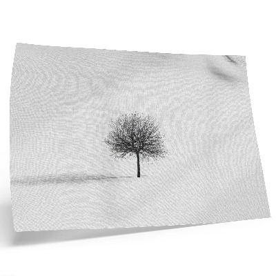 Poster Minimalistisches winterliches Baumlandschafts-Harmoniemotiv
