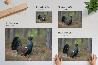Poster kunstdruck Vogelfarben, Wald, Natur, friedliche Atmosphäre