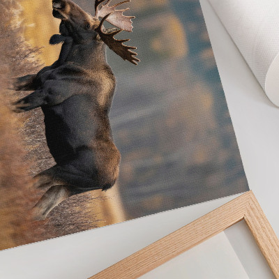 Poster Elch, Herbstlandschaft, Harmonie, Wildnis, Natur