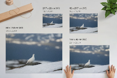 Poster Vogel im Schnee, sanfte Winterlandschaft