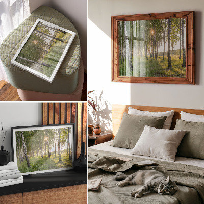 Poster Birkenwald, Sonnenstrahlen, Symmetrie, Grün