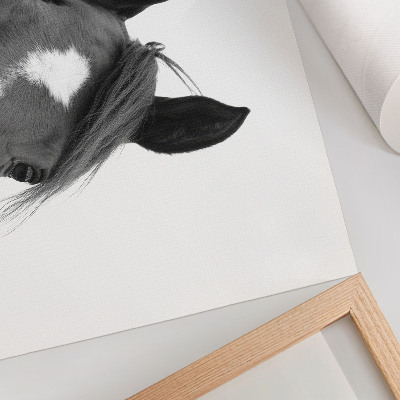 Poster kunstdruck Schwarz-Weiß-Fotografie von Pferdeeleganz