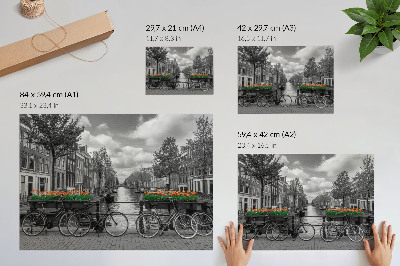 Poster Ein bezaubernder Blick auf den Kanal, Fahrräder, Tulpen, Schwarz und Orange.