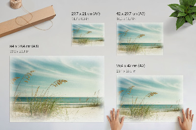 Poster kunstdruck Strandgras, Ozean, Himmel, Frieden