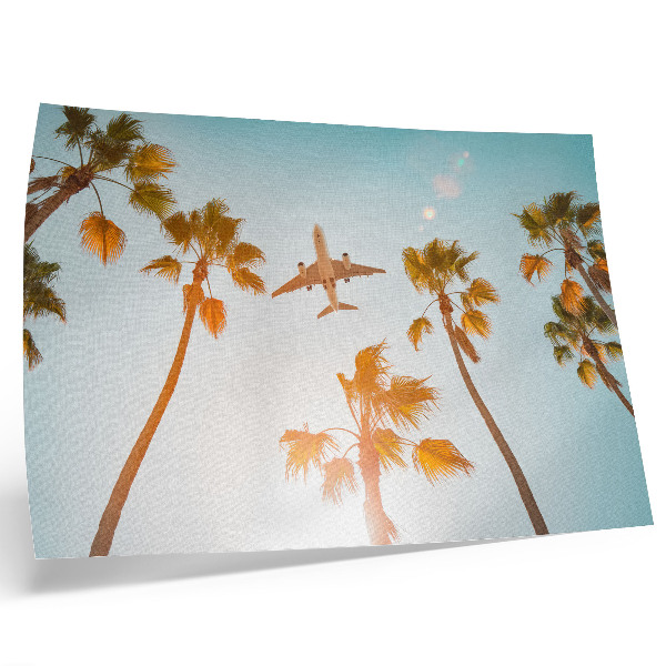 Poster kunstdruck Flugzeug, Palmen, blauer Himmel, tropisches Klima