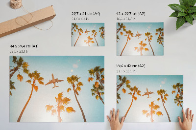 Poster kunstdruck Flugzeug, Palmen, blauer Himmel, tropisches Klima