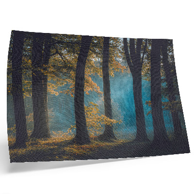 Poster kunstdruck Stiller Wald, Morgensonne, bunte Blätter