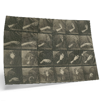 Poster Tierische Fortbewegung, Tafel 535 (1887) von Eadweard Muybridge