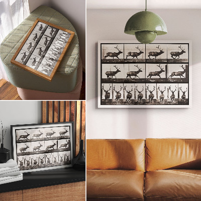 Poster kunstdruck Tierische Fortbewegung, Tafel Nr. 695 (1887), Fotografie von Eadweard Muybridge