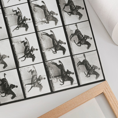 Poster Tierische Fortbewegung, Tafel 640 (1887), Reiten, fotografiert von Eadweard Muybridge