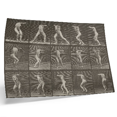 Poster kunstdruck Tellernummer 73. Überraschende Wendung und Flucht (1887) von Eadweard Muybridge