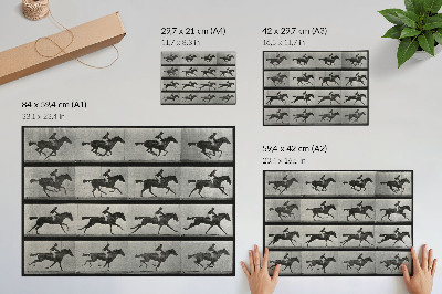 Kunstdruck poster Galoppierendes Pferd mit Reiter. Fototyp nach Eadweard Muybridge, 1887