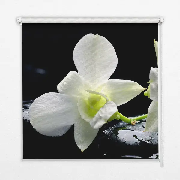 Fensterrollo mit dem Design Orchideen und Eleganz