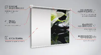 Fensterrollo mit dem Design Orchideen und Eleganz