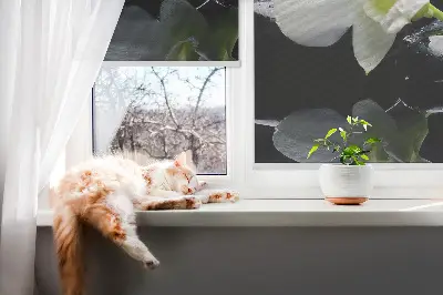 Fensterrollo mit dem Design Orchideen und Eleganz