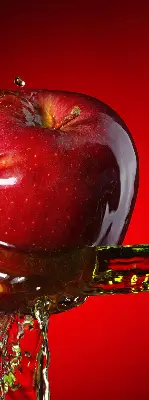 Rollo Fenster in der Farbe roter Apfel in der Tiefe