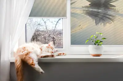 Rollo mit Seerosen Motiv