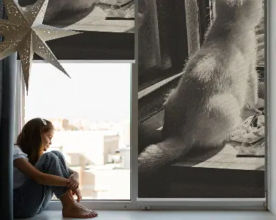 Rollo für Fenster mit Katzenmotiv