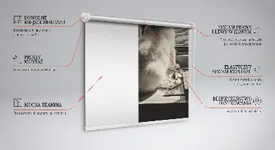 Rollo für Fenster mit Katzenmotiv