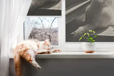 Rollo für Fenster mit Katzenmotiv