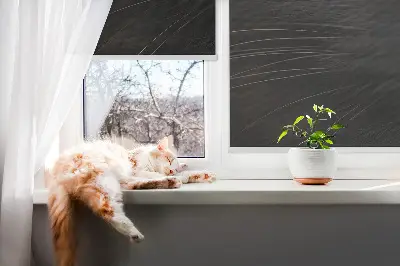 Fensterrollo mit Katzenaugen-Motiv