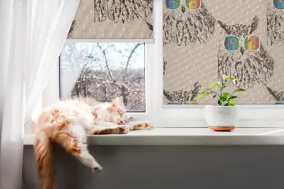 Fensterrollo für den Innenbereich mit Motiv Eulen in bunten Brillen