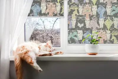 Fensterrollo für innen mit Katzenmotiv