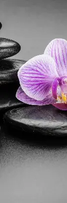 Fensterrollo mit dem Motiv Orchidee auf Steinen