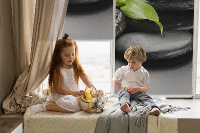Fensterrollo mit dem Motiv Orchidee auf Steinen