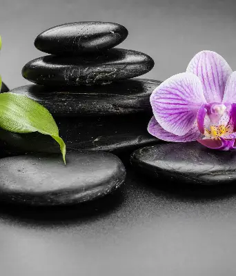 Fensterrollo mit dem Motiv Orchidee auf Steinen