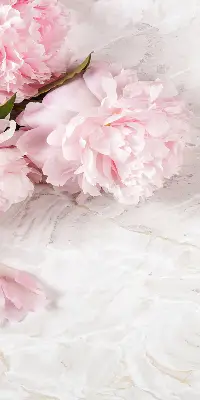 Fensterrollo für den Innenbereich mit Blumenmuster