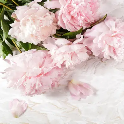 Fensterrollo für den Innenbereich mit Blumenmuster