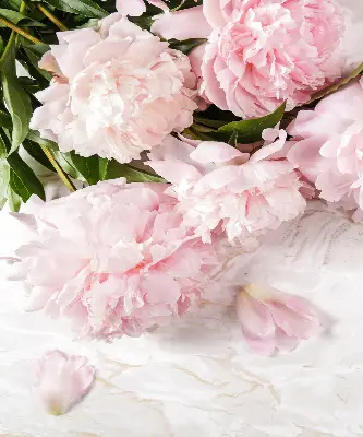 Fensterrollo für den Innenbereich mit Blumenmuster