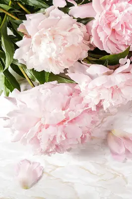 Fensterrollo für den Innenbereich mit Blumenmuster