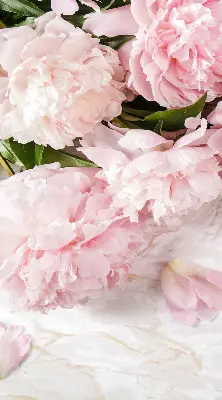 Fensterrollo für den Innenbereich mit Blumenmuster