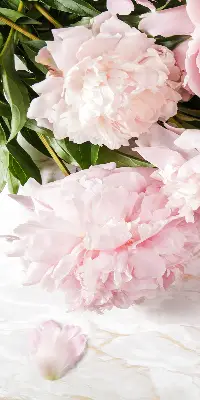 Fensterrollo für den Innenbereich mit Blumenmuster