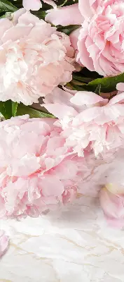 Fensterrollo für den Innenbereich mit Blumenmuster