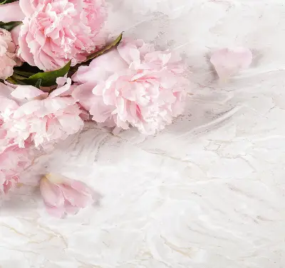 Fensterrollo für den Innenbereich mit Blumenmuster