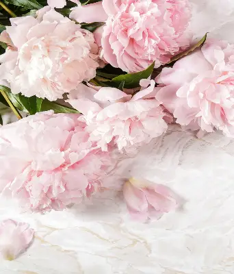 Fensterrollo für den Innenbereich mit Blumenmuster