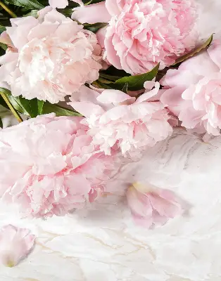 Fensterrollo für den Innenbereich mit Blumenmuster