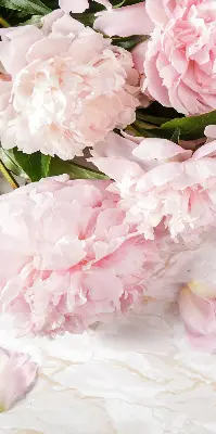 Fensterrollo für den Innenbereich mit Blumenmuster