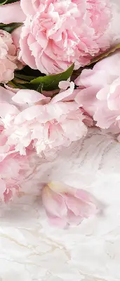 Fensterrollo für den Innenbereich mit Blumenmuster