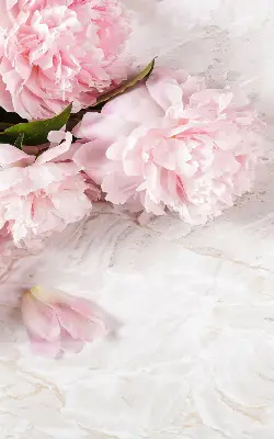 Fensterrollo für den Innenbereich mit Blumenmuster