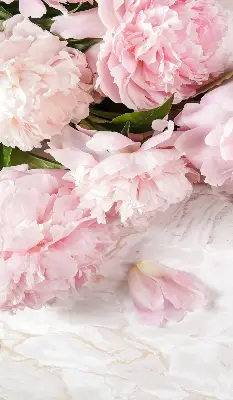 Fensterrollo für den Innenbereich mit Blumenmuster