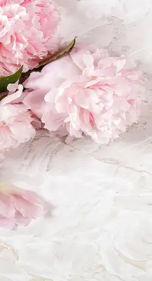 Fensterrollo für den Innenbereich mit Blumenmuster