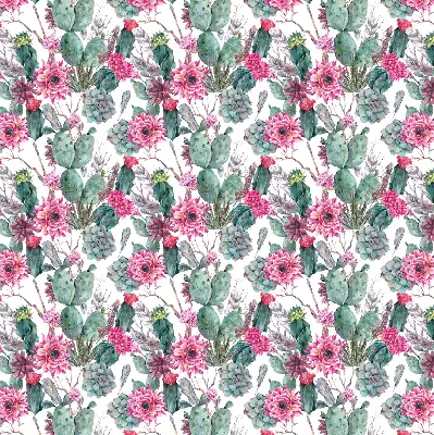 Fensterrollo mit Motiv Kaktusblüte