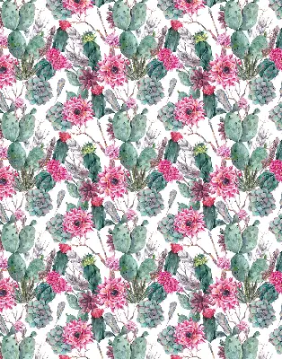 Fensterrollo mit Motiv Kaktusblüte
