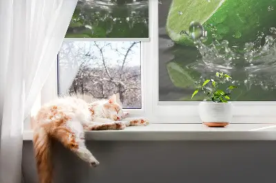Fensterrollo für den Innenbereich mit dem Motiv Limetten im Wasser