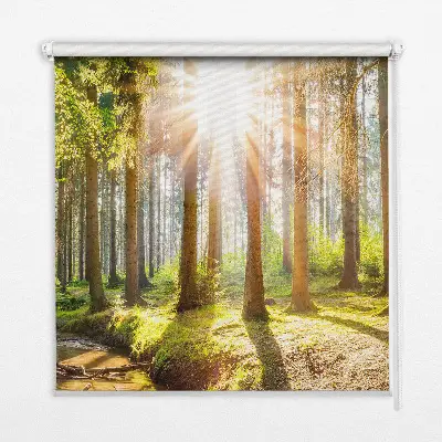 Fensterrollo mit Motiv von durch die Bäume scheinender Sonne