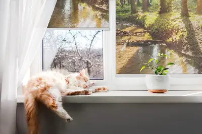 Fensterrollo mit Motiv von durch die Bäume scheinender Sonne